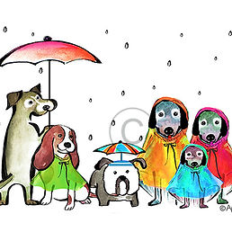 Image by Joanna Kosinska